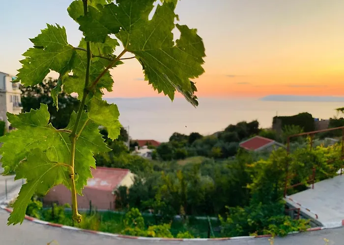 Old Stone House Vicko 빌라